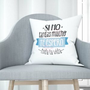 Cojín tacto algodón - Si no tardas mucho te espero toda la vida